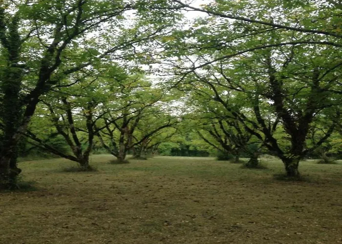 Normandy Bakery Retreat Сasa de vacaciones *